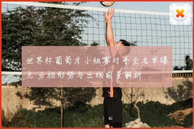 世界杯葡萄牙小组赛对手全名单曝光 分档形势与出线前景解析